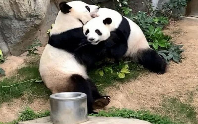 科技引領(lǐng)抗疫新時(shí)代，全球最新疫情概況
