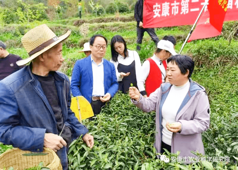 ??紅英科技農(nóng)業(yè)最新動態(tài)??
