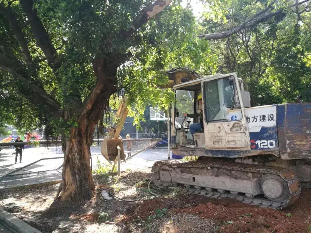 河北綠材建筑 第426頁