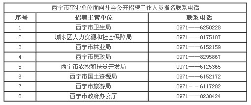青海西寧最新招聘信息，友情溫暖相伴的求職故事