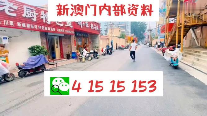 2024澳門天天開好彩大全2024,實證數(shù)據(jù)分析_銳意版65.208