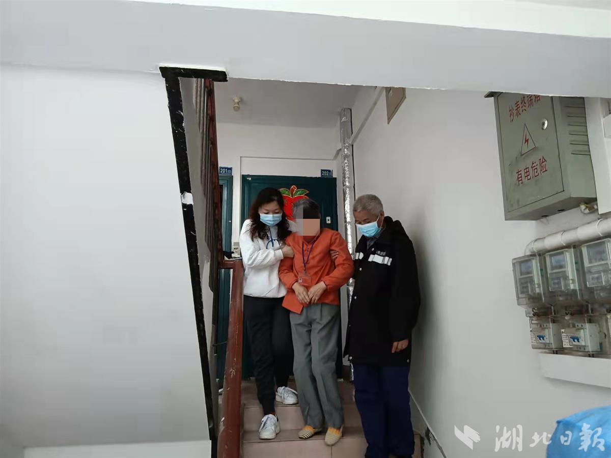 最新洪訊，自然美景探索之旅
