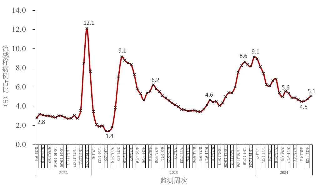 2024年12月份新病毒,持續(xù)性實施方案_工具版37.968