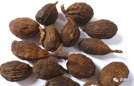 草果最新價(jià)格行情解析，獲取與分析草果價(jià)格信息的全面指南