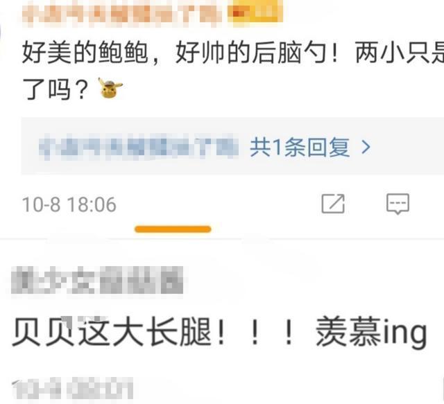 尹艷榮妻子最新消息,穩(wěn)固執(zhí)行方案計劃_觸控版23.823