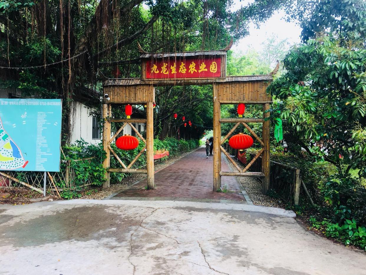 農(nóng)家樂(lè)小老板最新,農(nóng)家樂(lè)小老板最新動(dòng)態(tài)，挑戰(zhàn)與機(jī)遇并存
