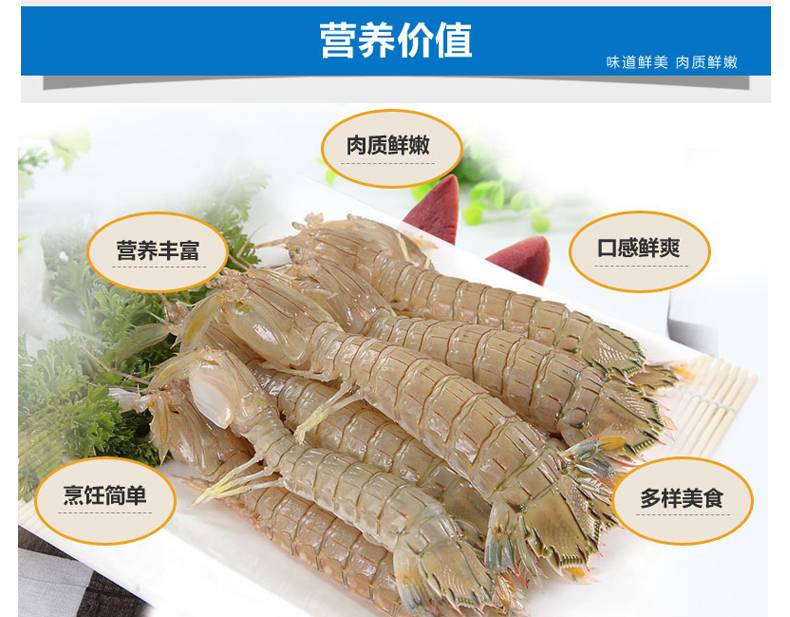 皮皮蝦最新地址,皮皮蝦最新地址，一場(chǎng)尋找內(nèi)心平靜的奇妙旅行