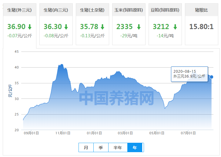 2025年新澳開獎結(jié)果,處于迅速響應(yīng)執(zhí)行_文化版62.261