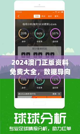 新澳門最精準正最精準正版資料,公安技術_目擊版62.343