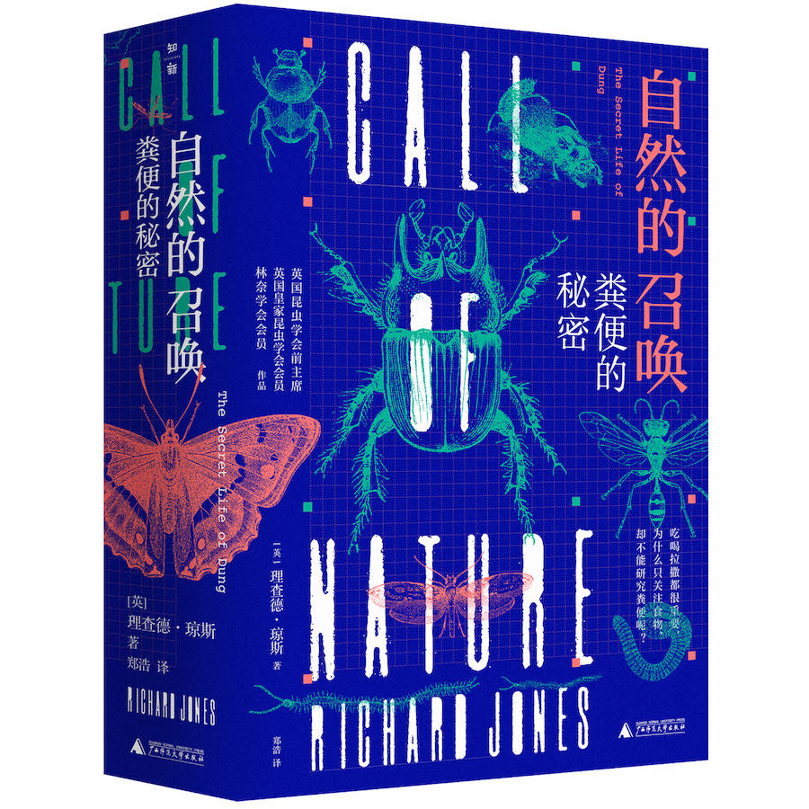 澳門最精準正最精準龍門客棧,社會科學解讀_動感版62.303