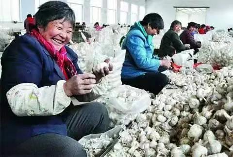 最新黑蒜，自然探險(xiǎn)之旅，探尋內(nèi)心平和與寧靜的旅程