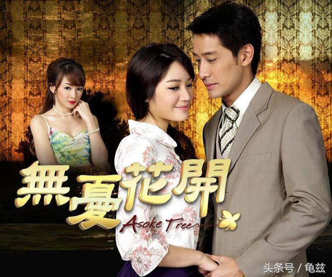 無言花泰劇深度解析，魅力與爭議并存