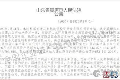 高唐藍(lán)山存款最新動態(tài)更新！