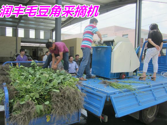 最新型毛豆收獲機(jī)，歡樂農(nóng)場(chǎng)體驗(yàn)日