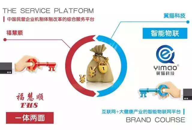 ?；垌槃④娮钚聞?dòng)態(tài)揭秘，小巷中的獨(dú)特風(fēng)味
