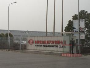 江蘇鹽城起亞最新消息,江蘇鹽城起亞的歡樂日常，友情與愛的小插曲