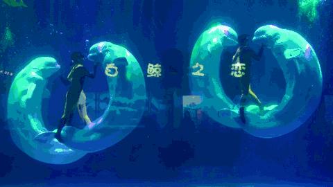 海昌海洋公園新動(dòng)態(tài)，變化中的學(xué)習(xí)之旅，自信與成就感的源泉