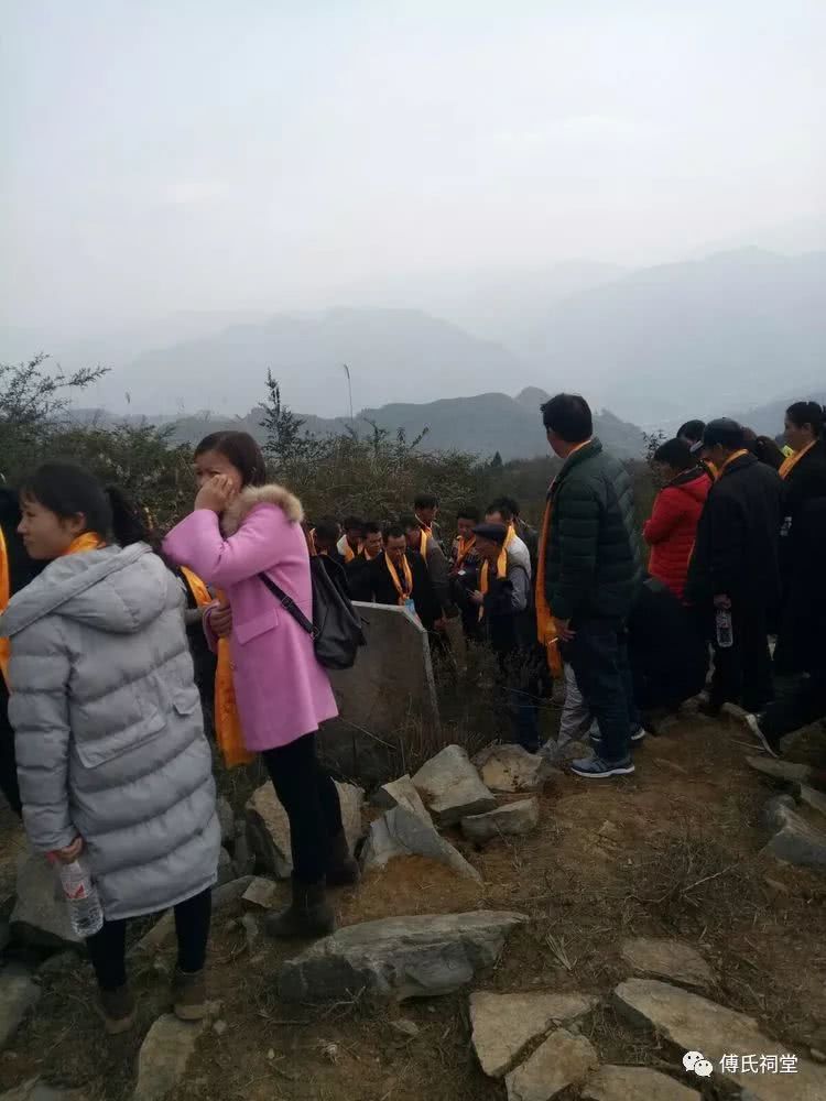 遵義縣山盆鎮(zhèn)最新動(dòng)態(tài)，發(fā)展更新與綠意盎然共融