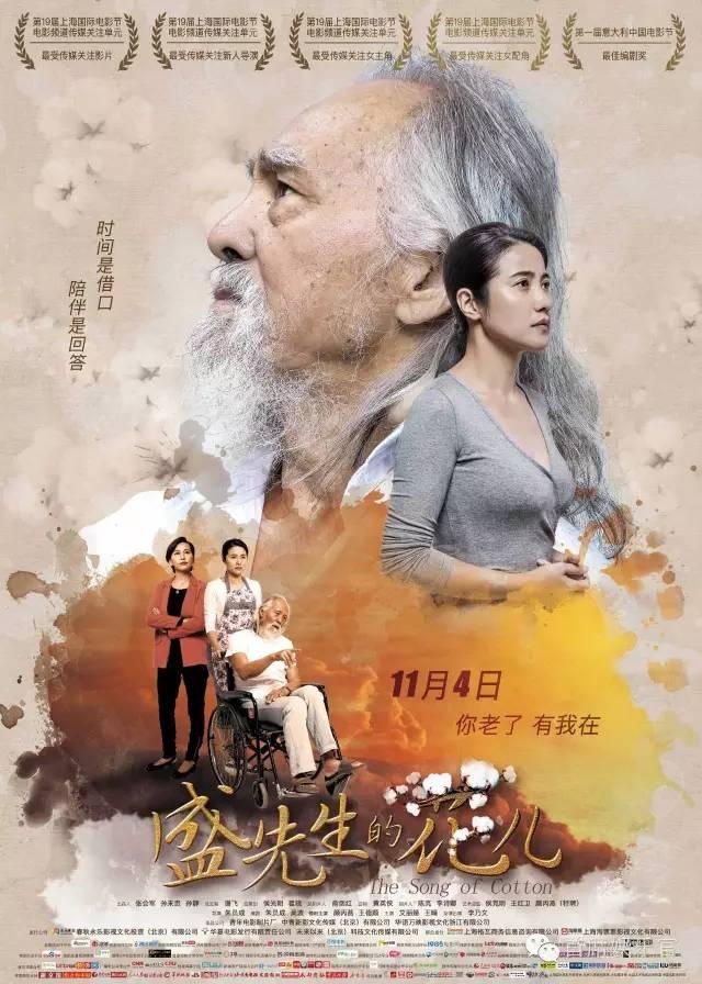 顏丙燕演藝之路的輝煌與影響，最新訪談揭秘影響力與成長歷程
