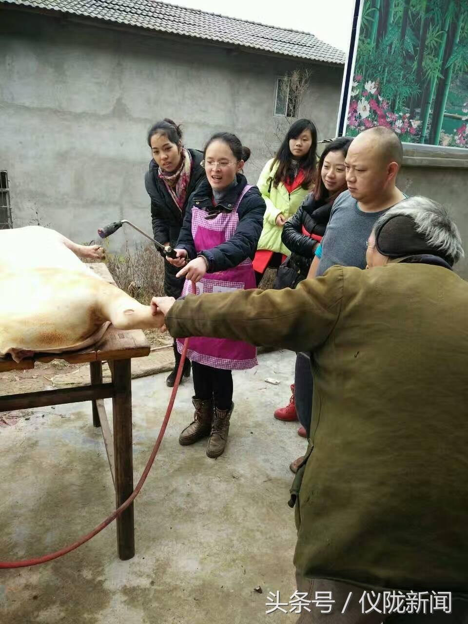 最新宰殺美女事件，時(shí)代悲劇下的反思