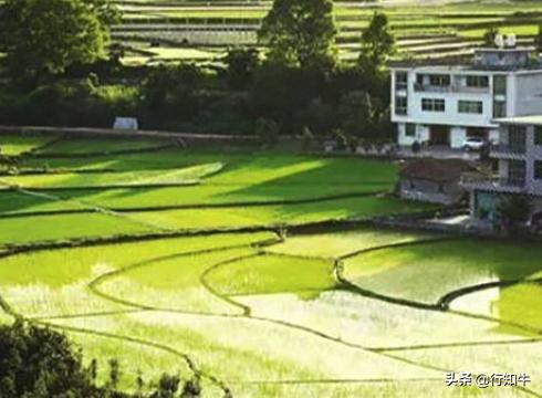 最新小本投資項目深度探討，投資機遇與挑戰(zhàn)并存