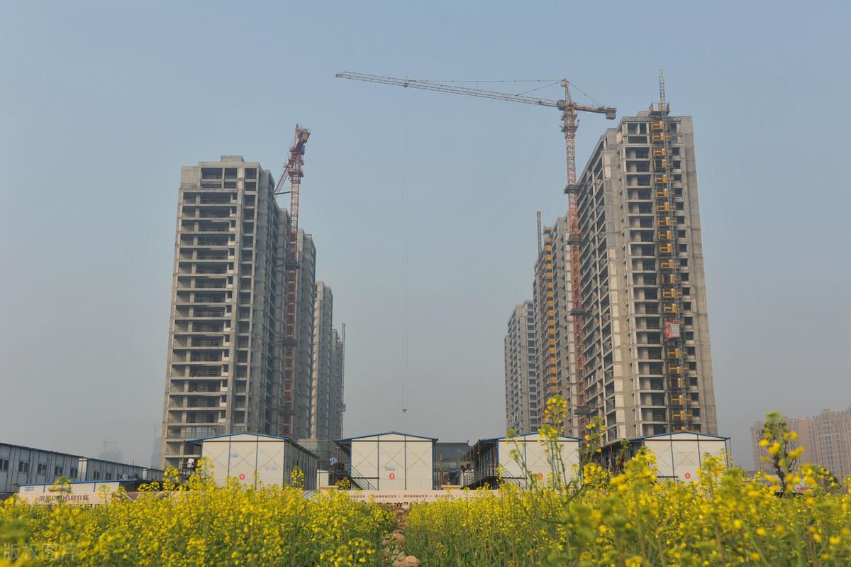 廈門最新房源與探索自然美景之旅，尋找心靈棲息地