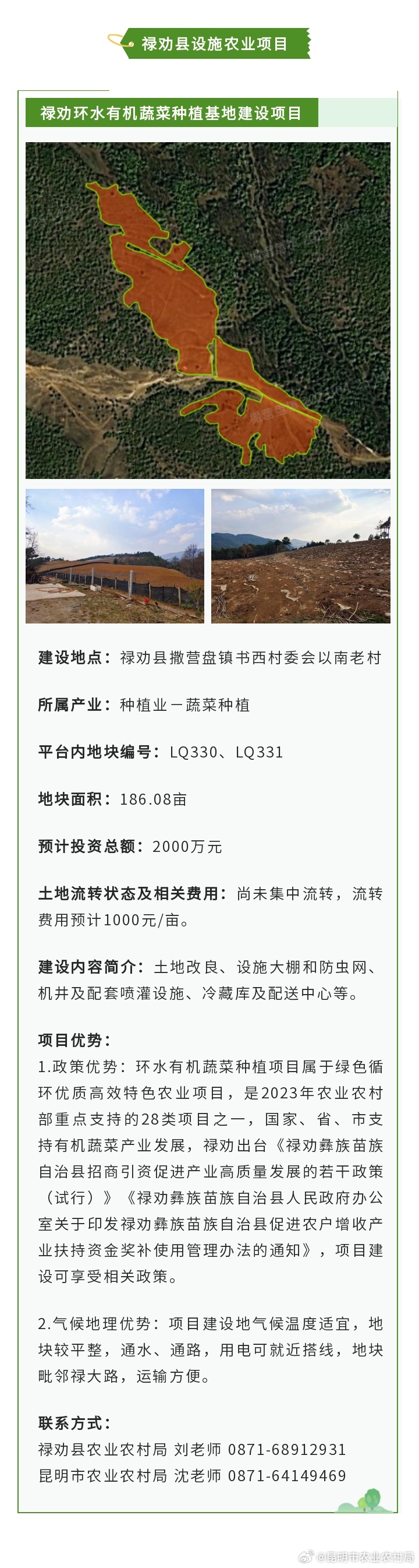 新時(shí)代財(cái)富探索，最新致富好項(xiàng)目指南