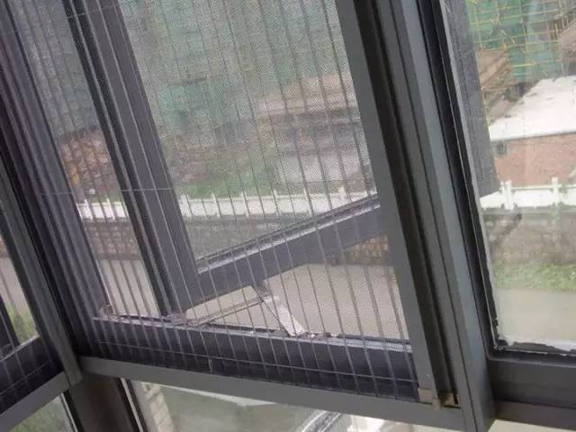 紗窗最新招聘信息，探尋小巷獨特小店的招聘之旅